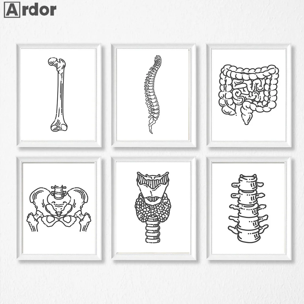 Абстрактная живопись человеческой анатомии Череп кость скелет сердце легкие