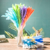 colorful pampas grass millet spikes natural dried flowers mariage bouquet wedding luxury living room decoration accessories