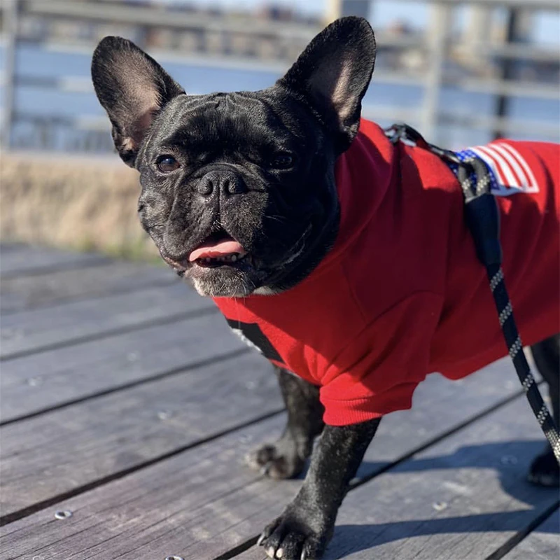 

Luxury Dog Clothes Fashion Reflective Jackets French Bulldog Yorkshire Chihuahua Coats Designer Pet Dog Clothing Dog Accessories