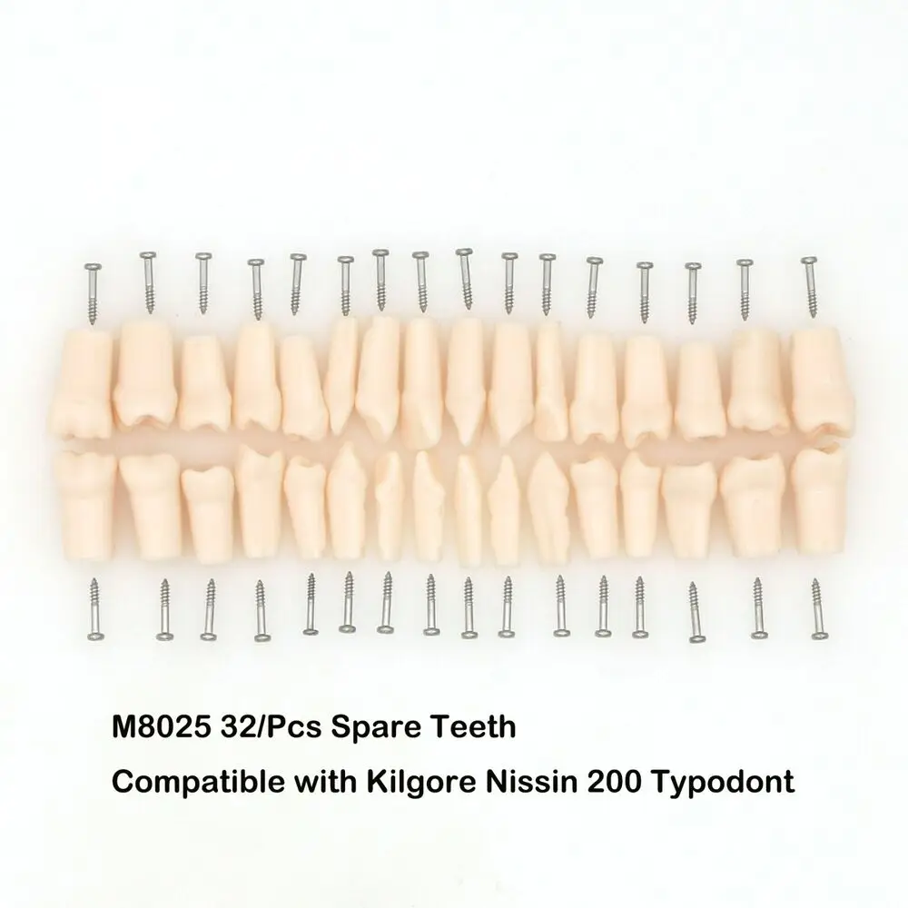 Kilgore NISSIN 200 Type 32 Pcs Replacement spare Teeth Dental Typodont Model dental