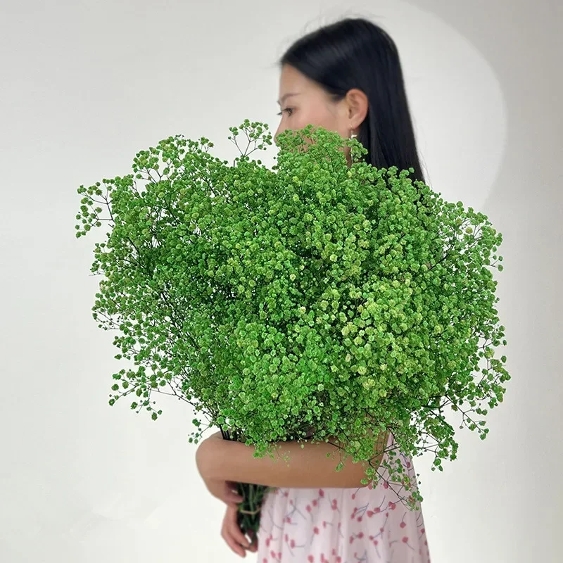 

Сушеные цветы гипсофила YN HI FLOWER ENJOY YOUR LIFE