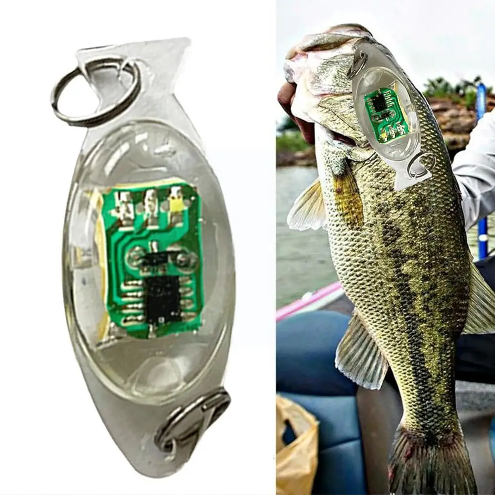

LED Light Fish Lamp Eye Shape Deep Drop Underwater 5 Mini Attracting Lure Light bait Luminous Fishing Squid colors Fish fis B1X5