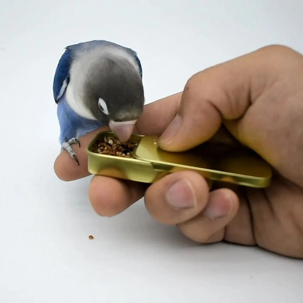 

Bird Training Mini Food Jar Parrot Handheld Iron Box Feeder Bird IQ Growth Training Tools Interactive Toys Bird Feeding Supplies