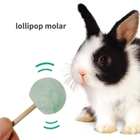 lollipop molar nutritional calcium supplement hamster chinchilla rabbit parrot grindstone hamster toys guinea pig toys pet toys