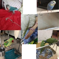 pcs pet parrot leg ring ankle foot chain bird ring outdoor flying training activity opening stand accessories bird supplies