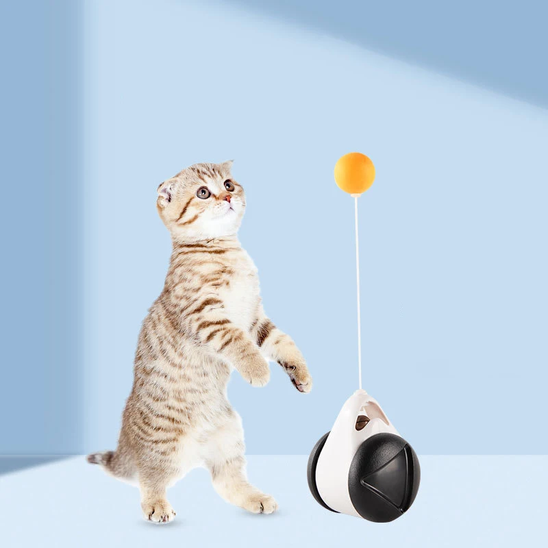 

Tumbler Swing Toys for Cats Kitten Interactive Balance Car Cat Chasing Toy With Catnip Funny Pet Products