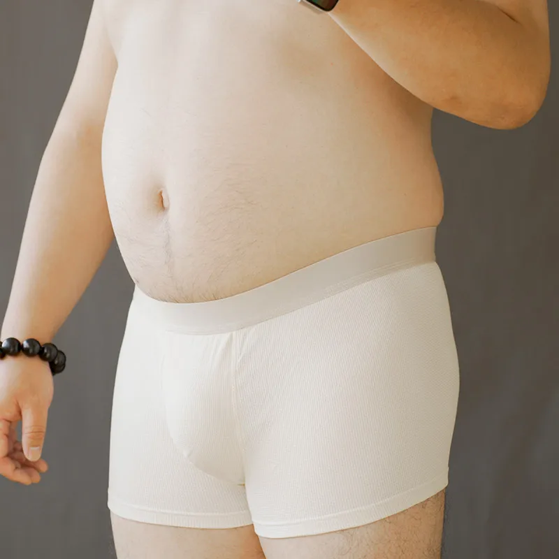 Men's breathable U-Bulge briefs sexy lingerie Chubby large sizeshorts Underwear See-through Fashion new Underpants