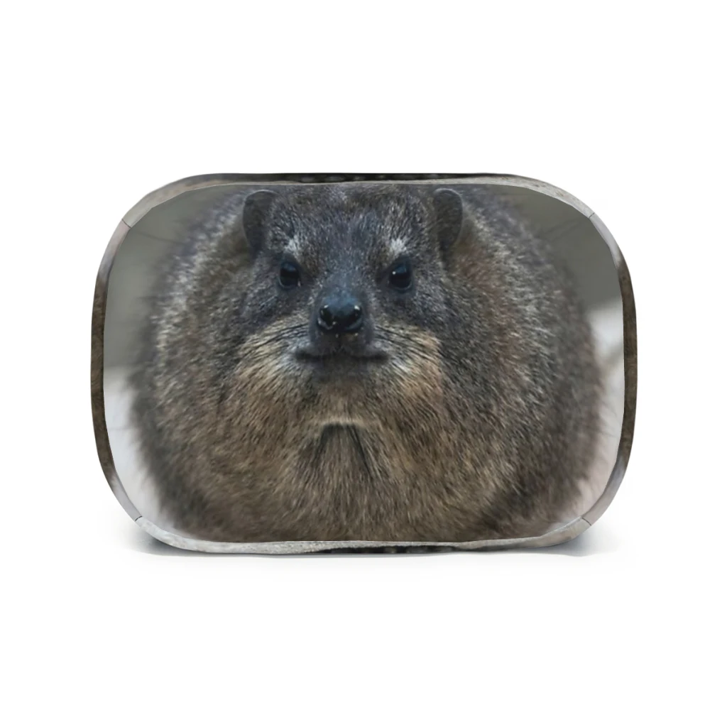 Сумка для обеда Rock Hyrax школы водонепроницаемая термохолодильник пикника