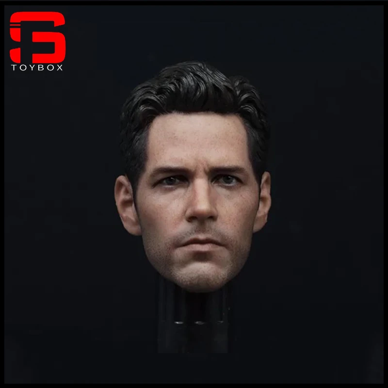 

1/6 Male Head Paul Rudd Sculpt Carving Model PVC 2.0 For Action Figure Doll Body Collection