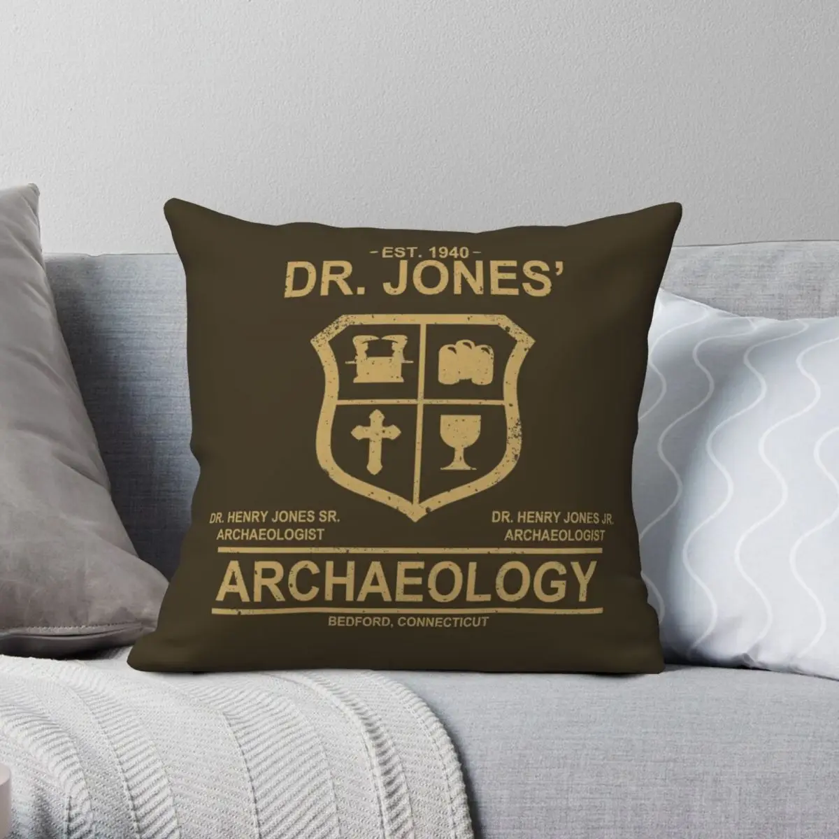 

Dr. Jones' Archaeology Square Pillowcase Polyester Linen Velvet Pattern Zip Decor Pillow Case Home Cushion Cover