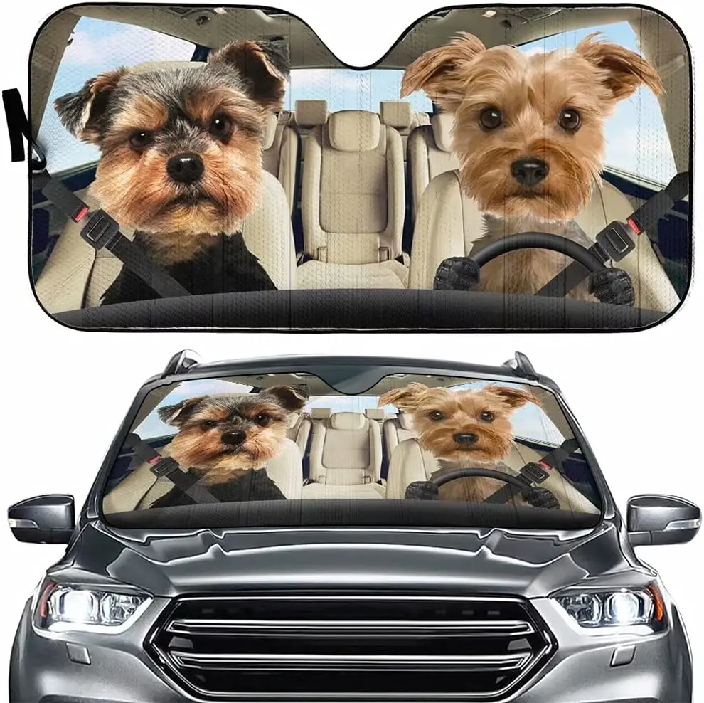 animal yorkshire terrier dog driver car sunshade windshield car front window windshield car sunshade car car SUV truck