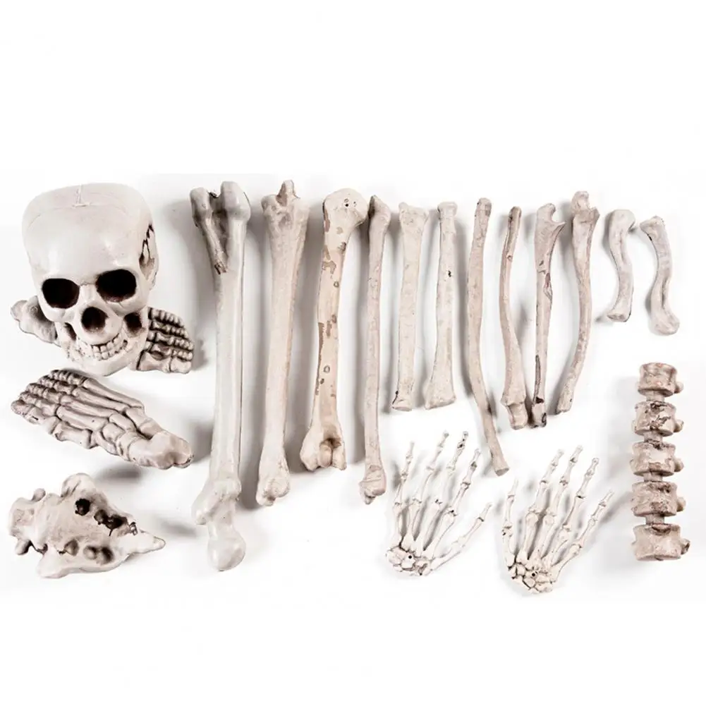 

Skeleton Props for Sale Realistic Halloween Skeleton Stake Set Spooky Haunted House Props for Party Decoration 14/18/24pcs Loose