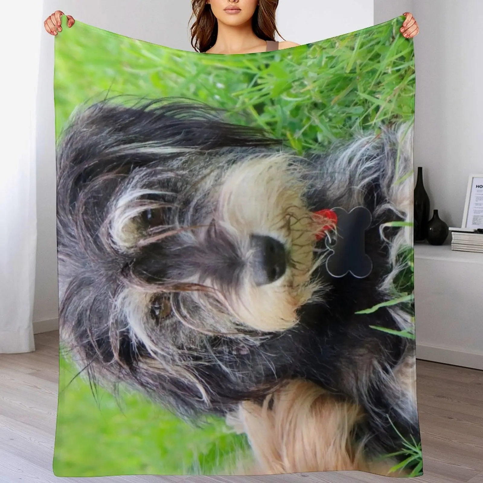 Миниатюрный шнауцер собака Белла Плед Путешествия Пляж Мягкие кровати для