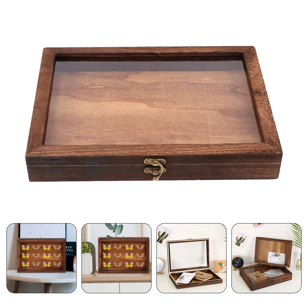 

Box Display Jewelry Case Wooden Specimen Insect Tray Organizer Storage Brown Metal Accessories Clasp Bug Transparent Necklace