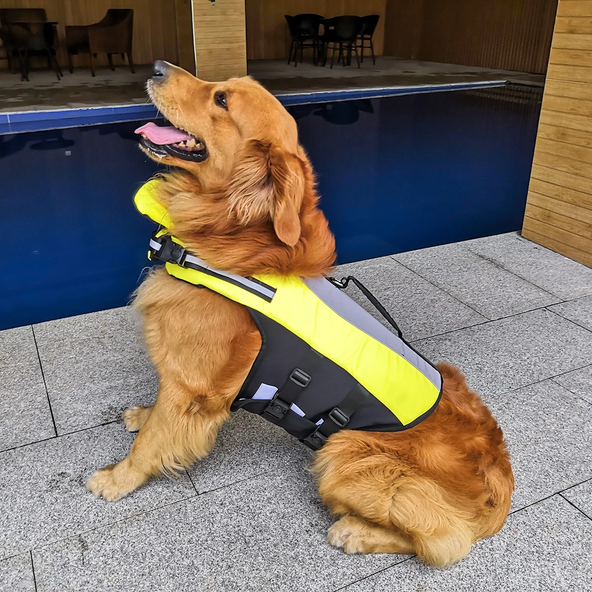 

Dog Life Jacket Summer Pet Vest Saver Preserver Summer Floatation Swimsuit Swimming Boating Vests Lifesaver for Small Large Dogs