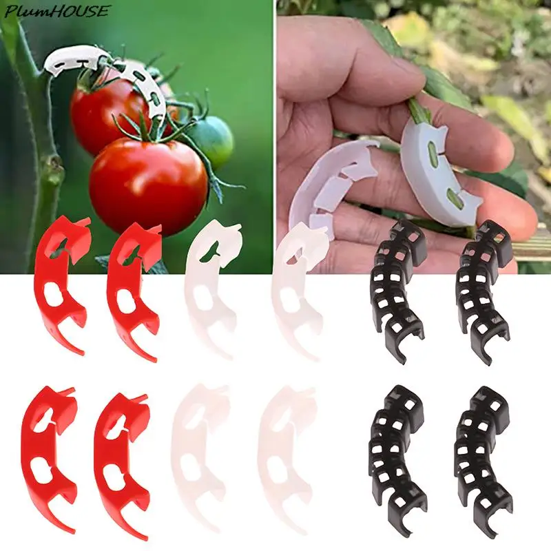 

50Pcs Plant Branches Bender Reusable Branches Clips Low Stress Plant Training Control The Growth Garden Decoration