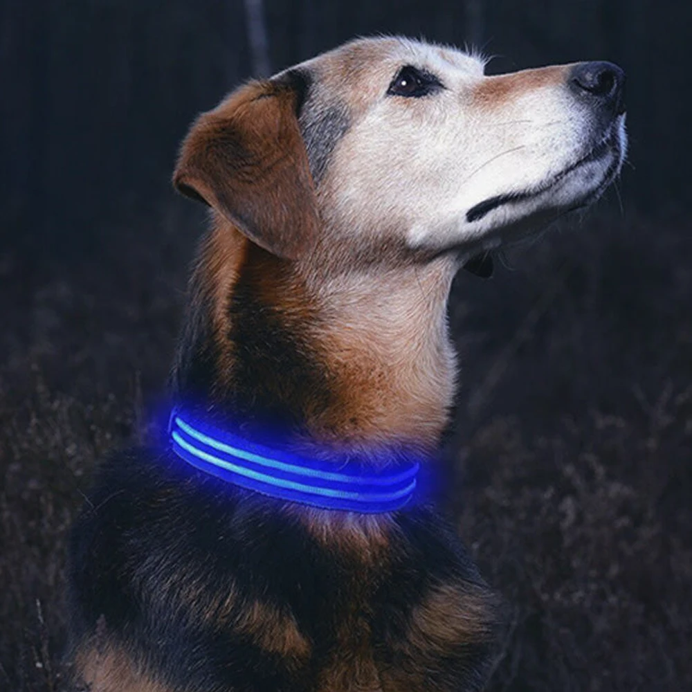 

Luminous Fluorescent Dog Collars LED Pet Nylon Dog Collar Light Night Safety Flashing Glow In The Dark Dog Leash Pet Accessories