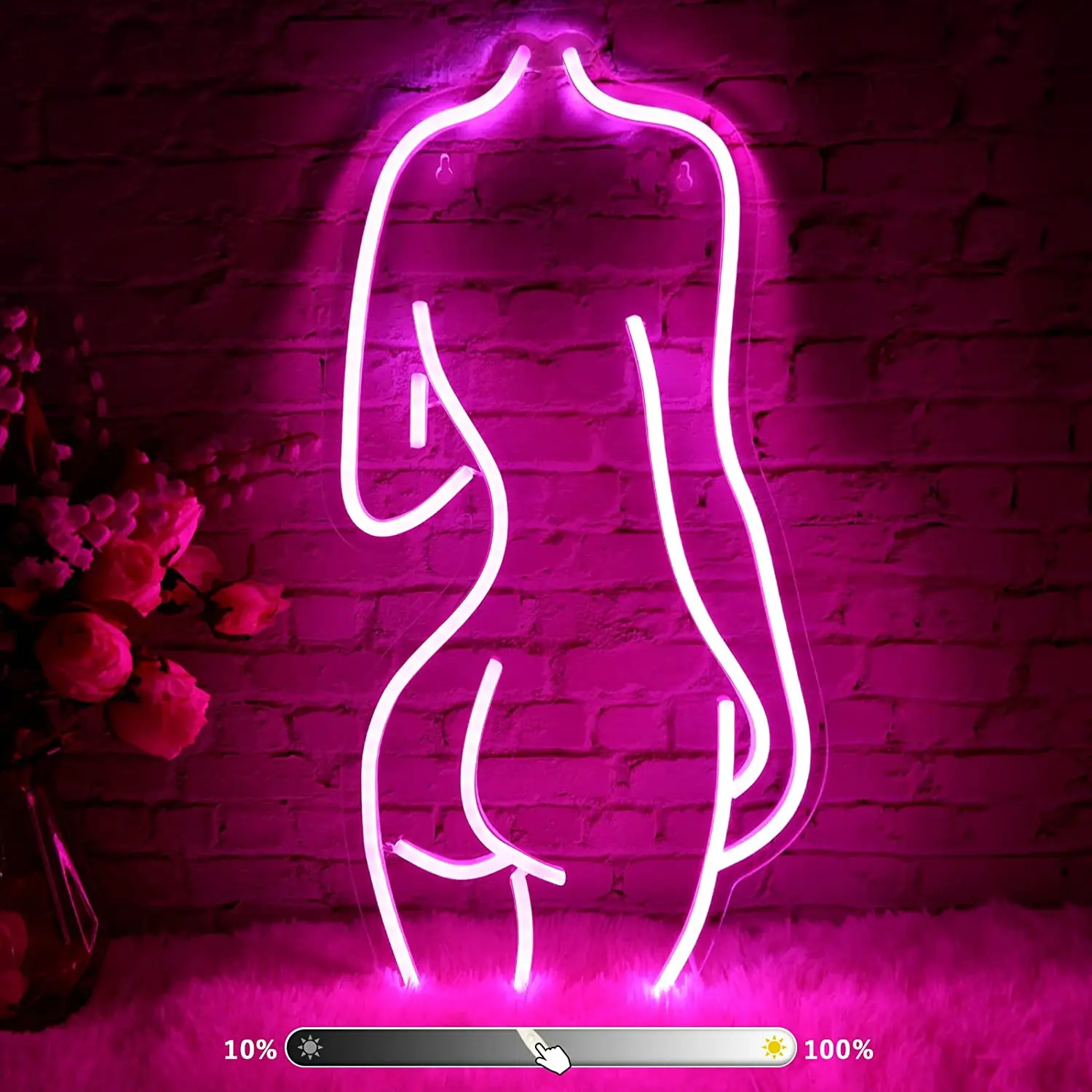 Lady Neon lights,Neon Sign for Wall Decor,Led Signs for Bedroom,Bar Signs,Acrylic USB Powered Suitable for Living Room,Bar Party