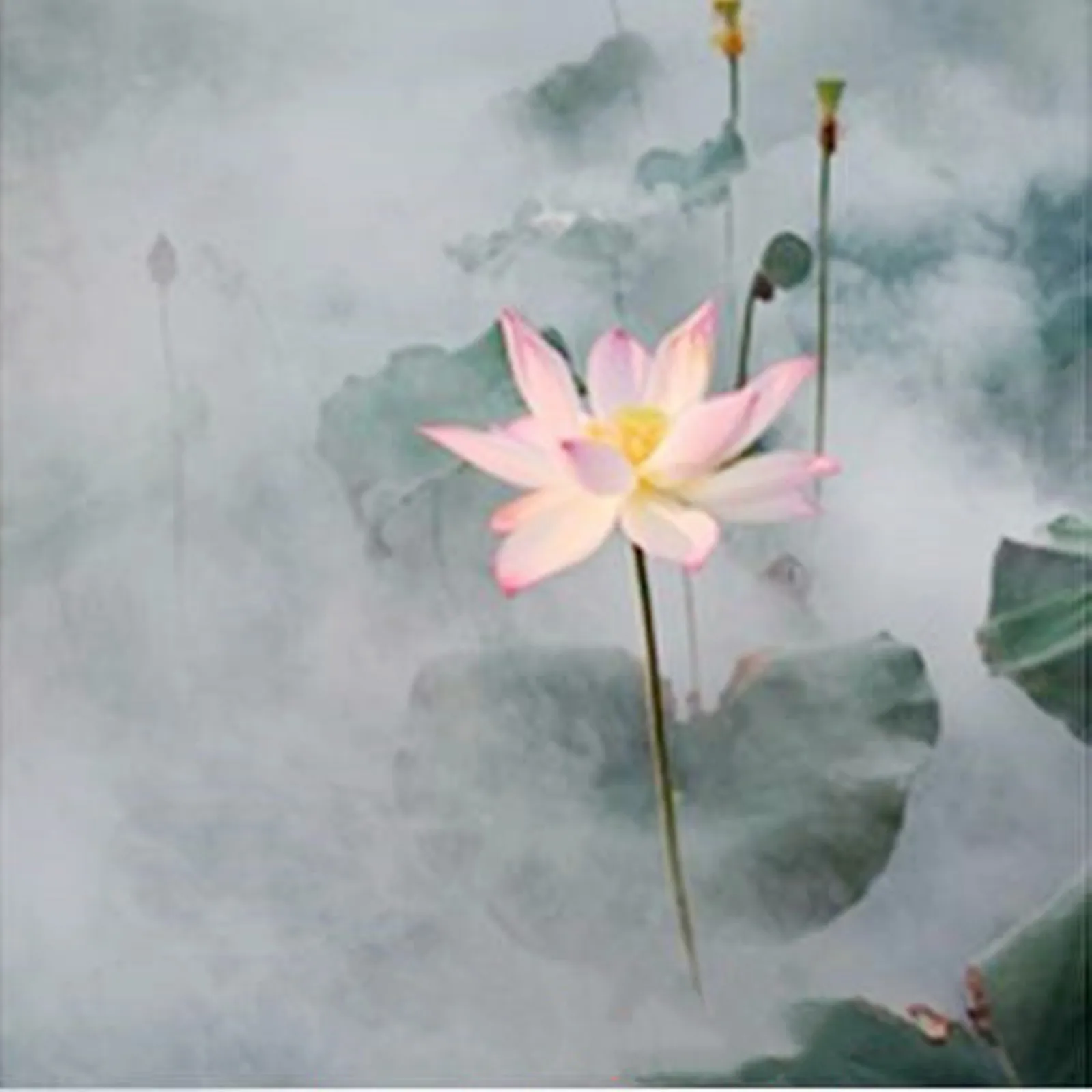 Белый дымовой торт с эффектом белого дыма Бомба Фотосъемка Сцена Композиция