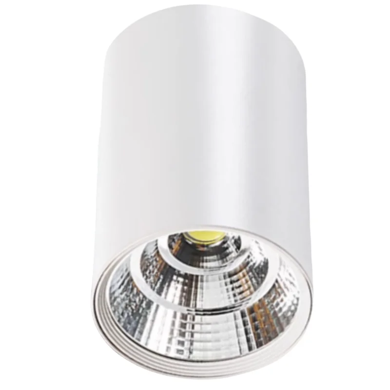 

Светодиодный потолочный светильник Brangdy COB 9-30Вт