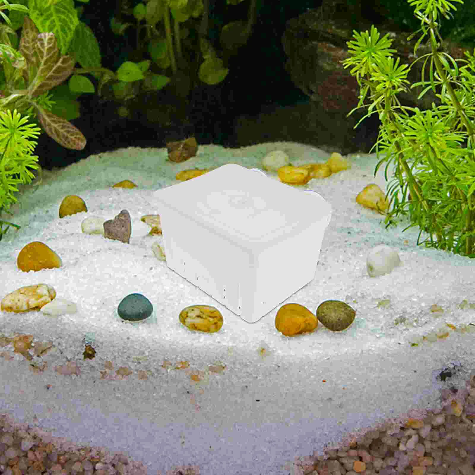 Купить Box Fish Breeding Breeder Aquarium Hatchery Tank Isolation