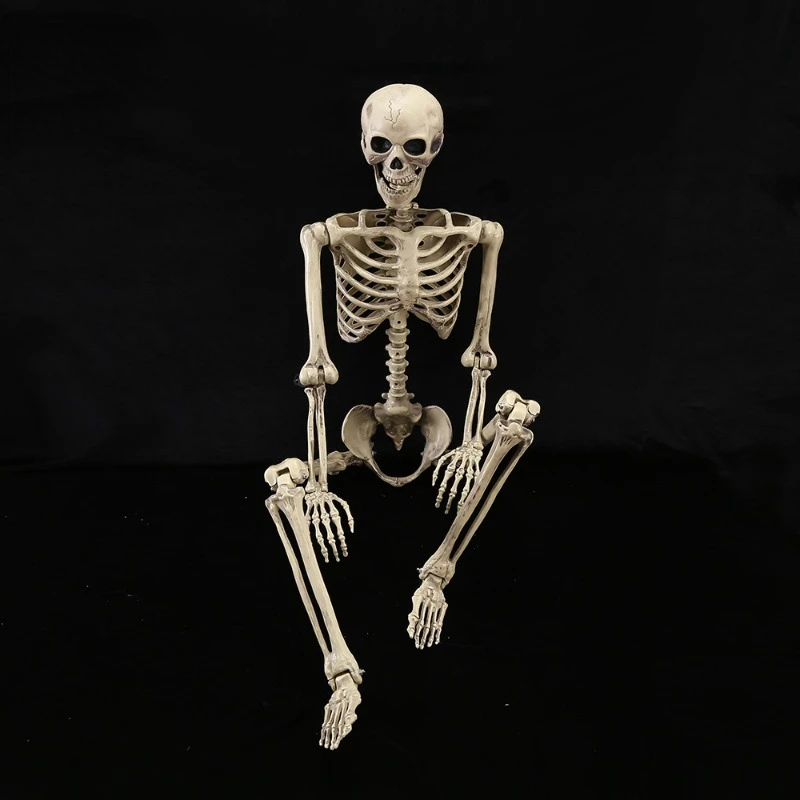 

40cm(15.7 inch) Plastic Skeleton Full Body Realistic Human Bones with Posable Joints for Halloween Decoration Outdoor Indoor 1PC