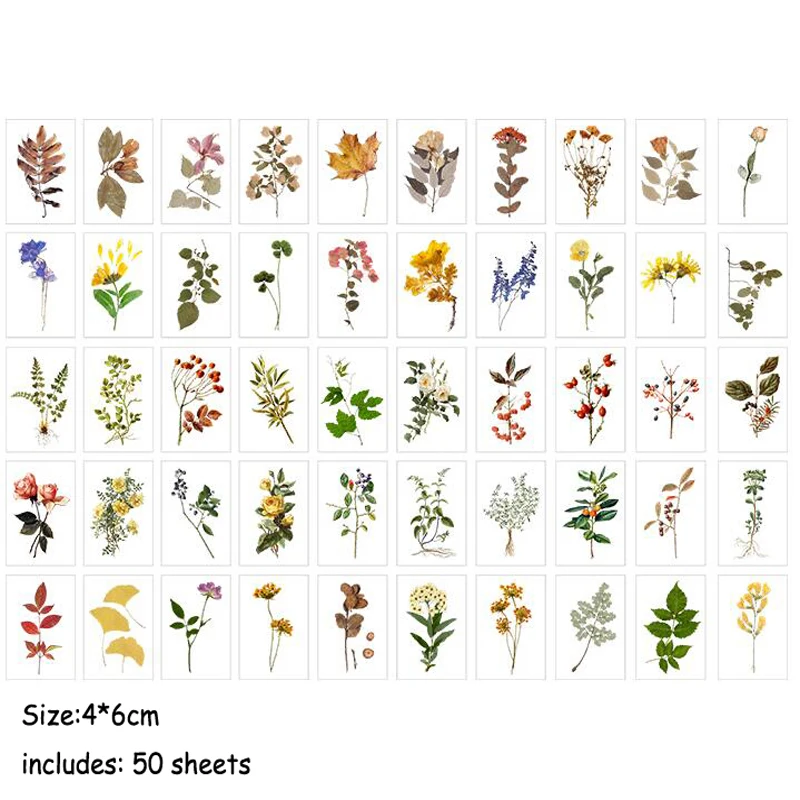 

50 листов в упаковке, фотобумага с планетами, листьями и цветами