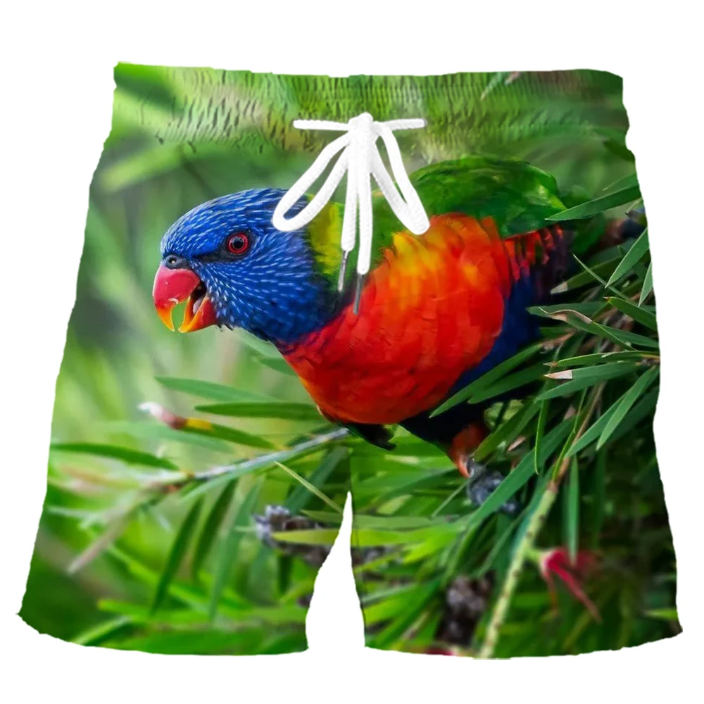 

HX Macaw Lovers Sport Shorts 3D Graphic Parrot Bird All Printed Polyester Board Pants Casual Pockets Sportswear Dropshipping
