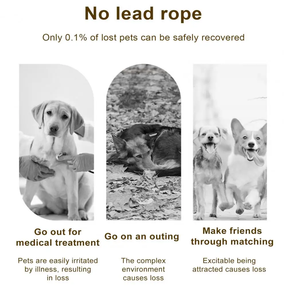 Уличная шлейка для домашних животных Регулируемый жилет с поводком кошек