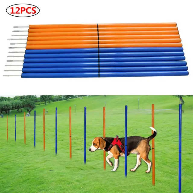 Дрессировочный инвентарь для собак. Инвентарь для чистки собак. Дрессировочный инвентарь для собак. Инструменты для груминга. Фитболы для собак.