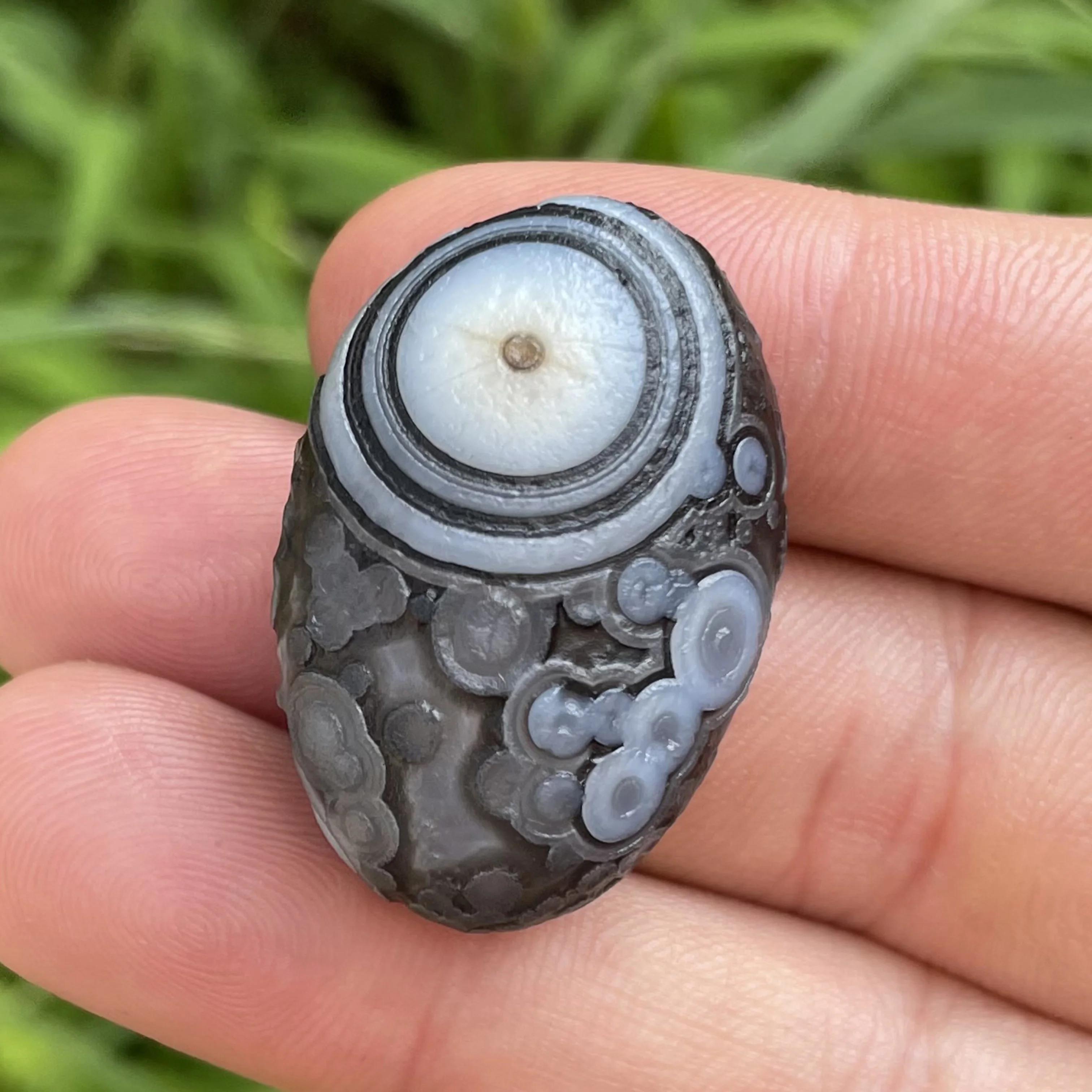 Натуральный черный агат Sardonyx Alxa Gobi Eye минеральный образец энергетическая чакра