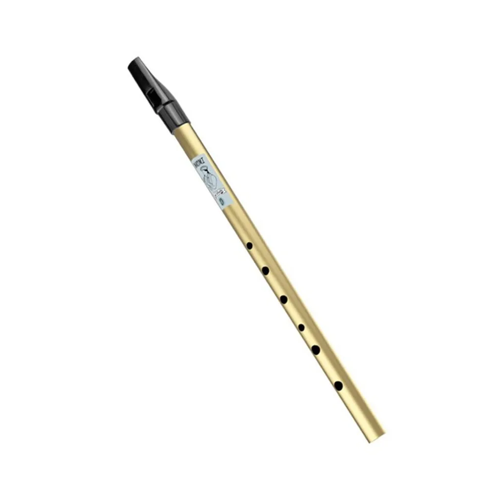 

Irish Whistle D Key Flute Portable School Stage Training Beginners