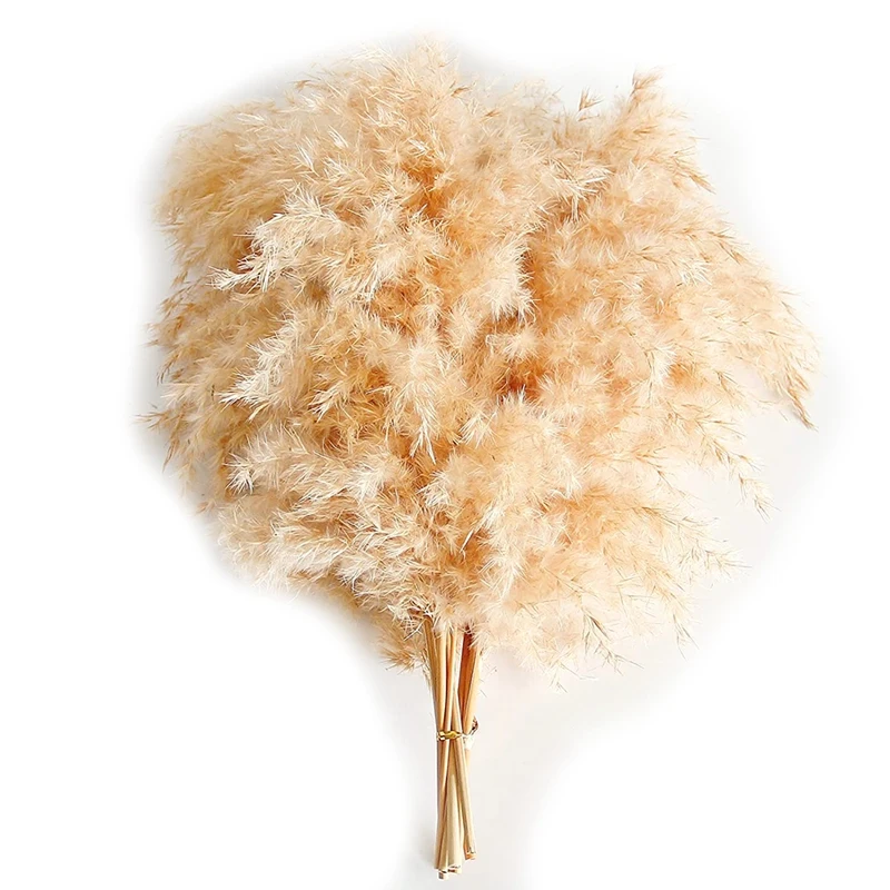 

Fluffy Pompas Floral, Natural Dried Pampas Grass, Boho Decor Flowers Suitable For Outdoor Wedding Party ( Beige 20Pcs)