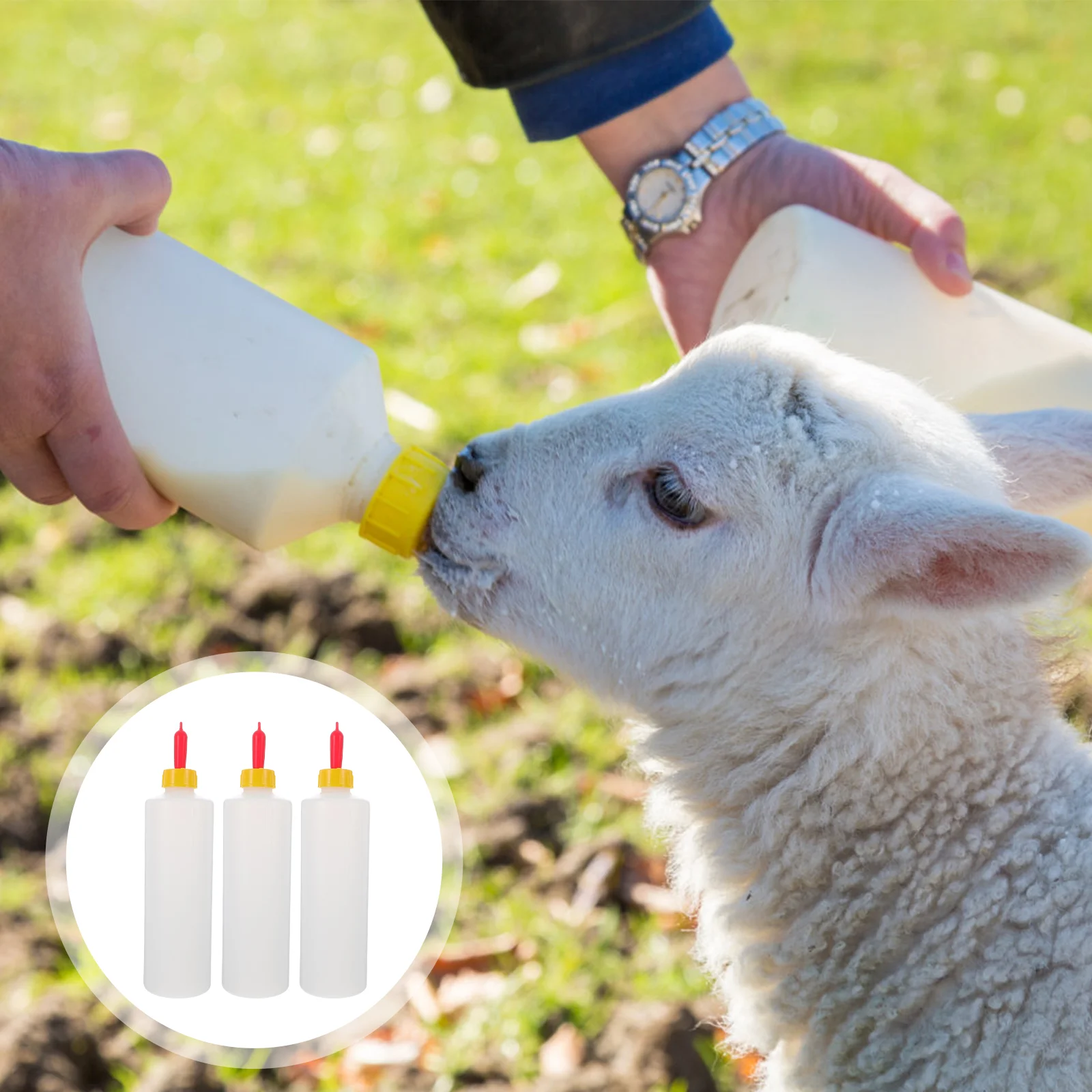 

Bottle Feedinglamb Baby Goat Bottles Feeder Nursing Calf Animal Livestocknipples Pet Supplies Sheep Goatsbucket Cow Small