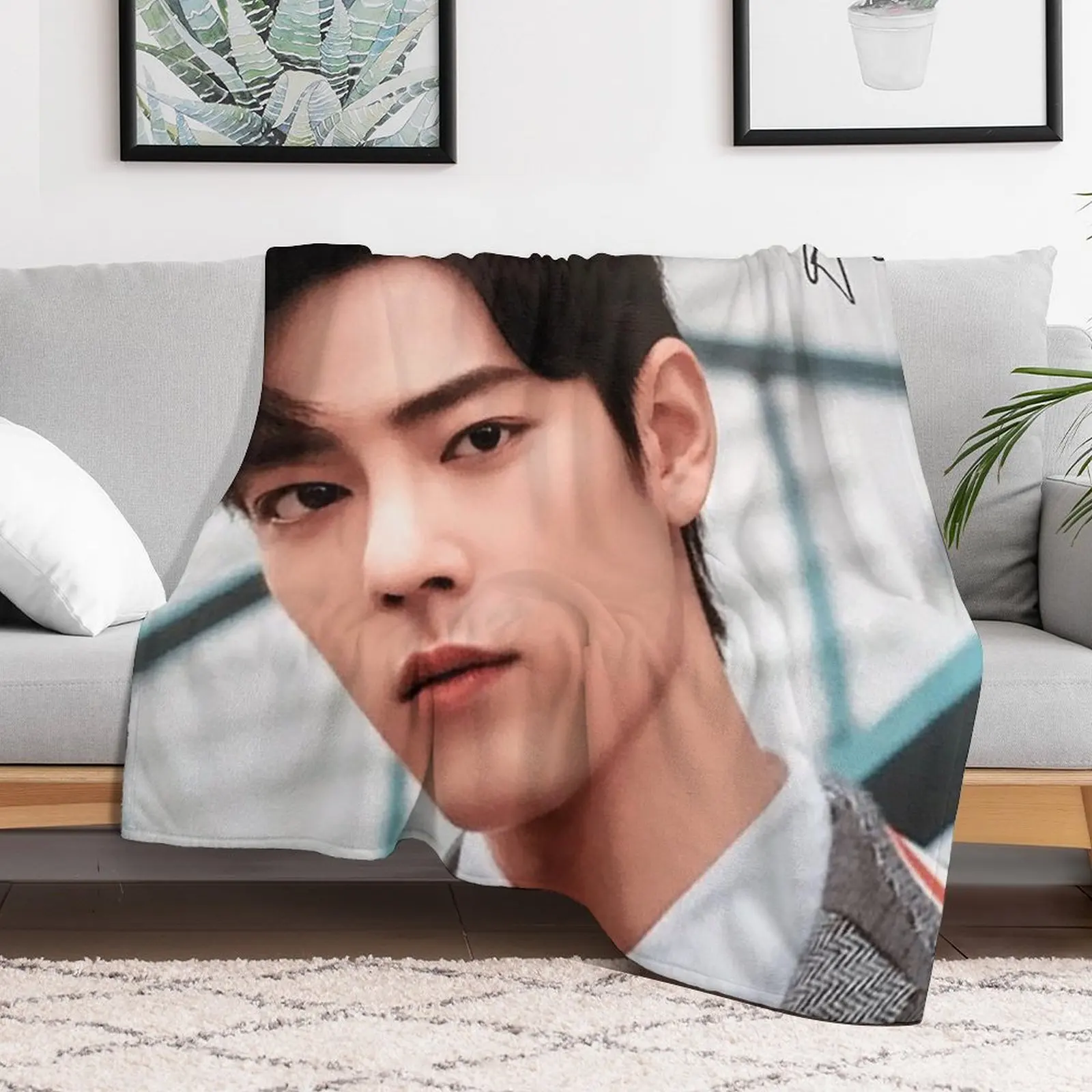 Новое одеяло Сяо Чжан с подписью зимние кровати свободные одеяла люксового