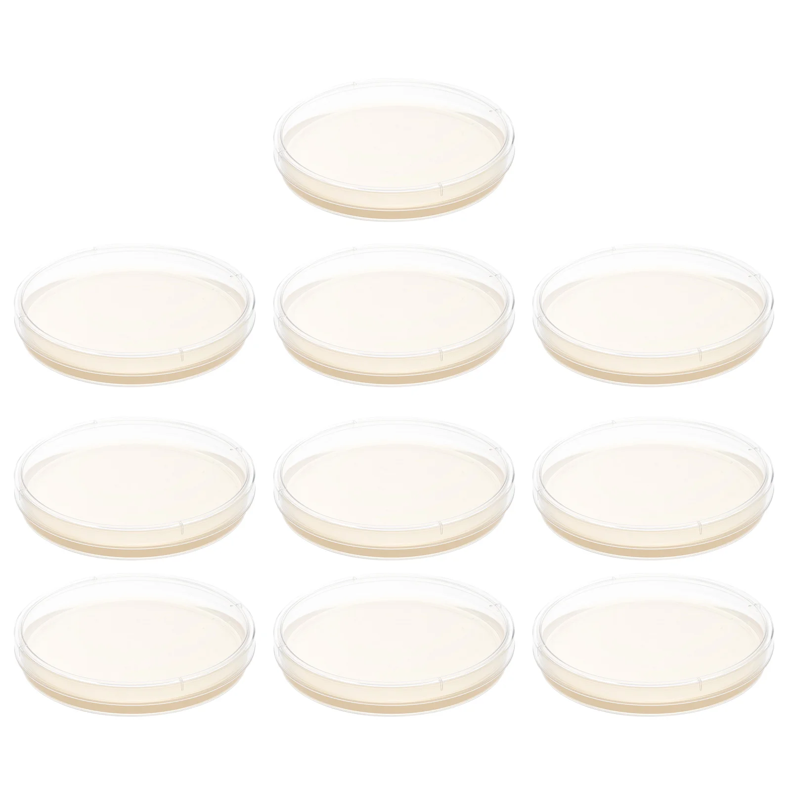 

10 Pcs Nutrient Agar Plate Poured Plates Labs Glass Straws Suite Petri Pre-Poured Kids Science Fair Project Kit Child Mushroom