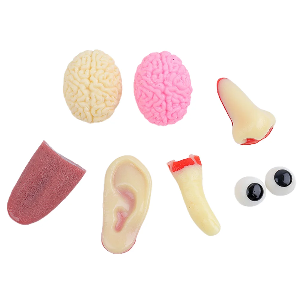 

8pcs Body Parts Haunted House Prop Party Props Horror Prop Scary Props