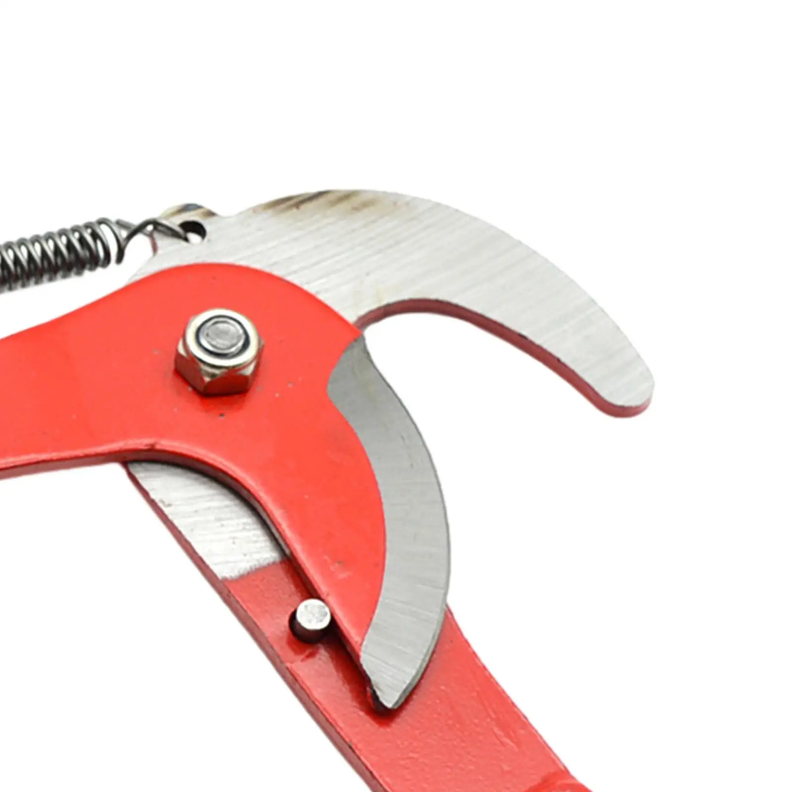 Профессиональные ножницы для обрезки ветвей на большой высоте