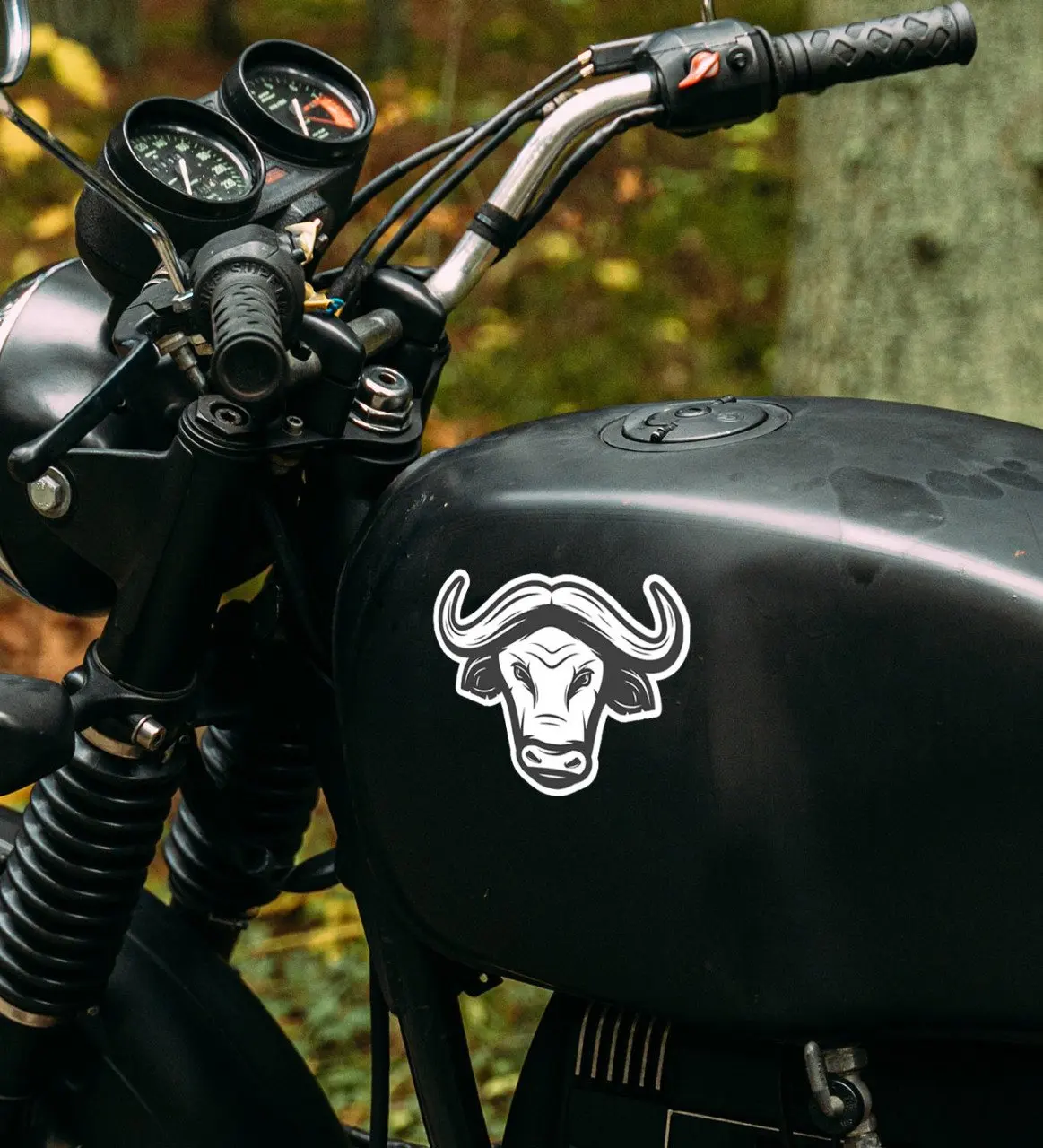 

Наклейка для двигателя BK Gift Bull Design-1