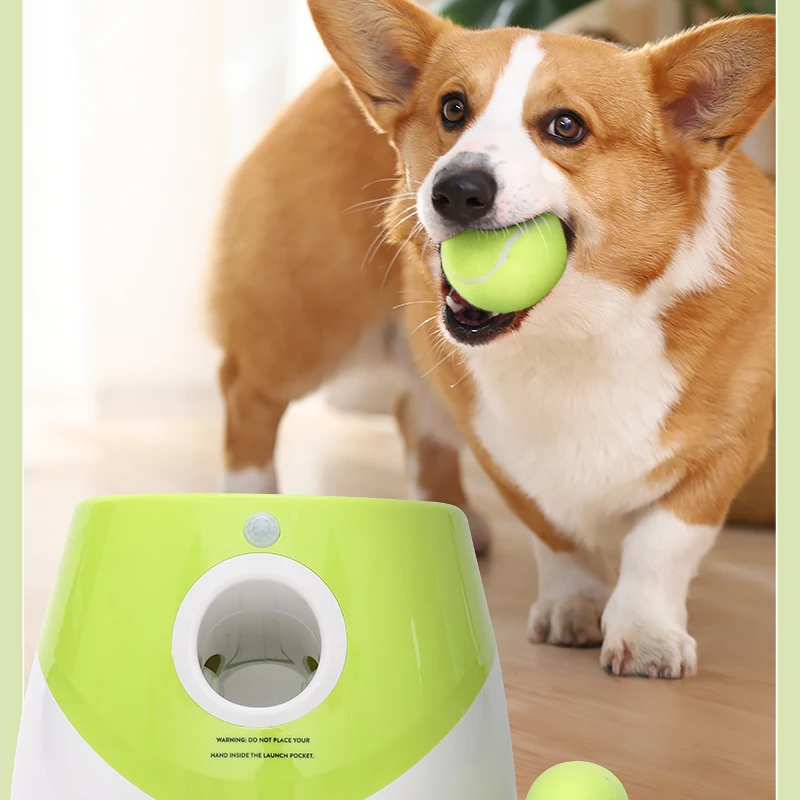 Автоматическая пусковая установка для бросания мячей в виде сетки собак