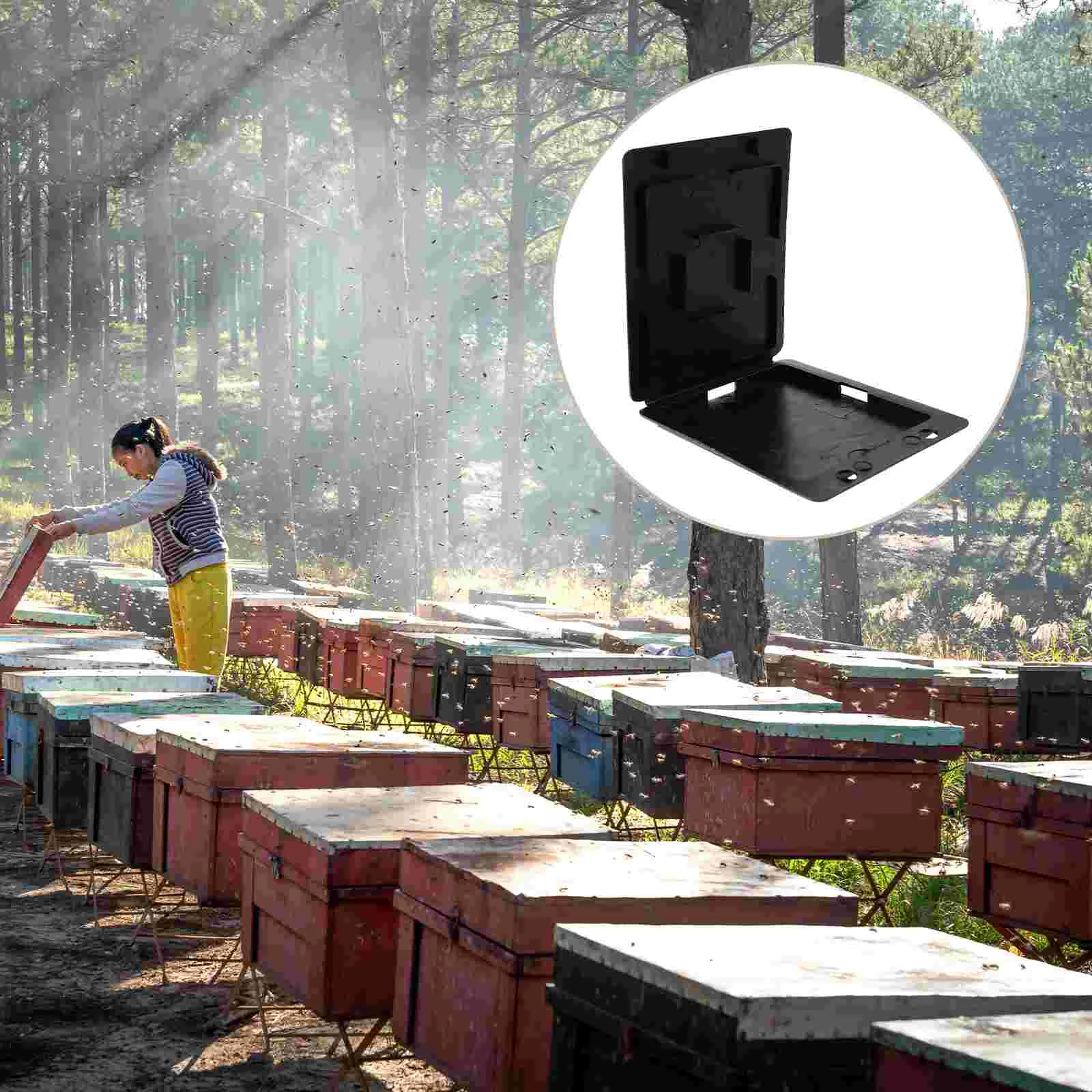 

12 Pcs Beekeeping Supply Small Beetle Trapping Accessory Reusable Hive Traps Plastic Beehive Tool Hives Collecting