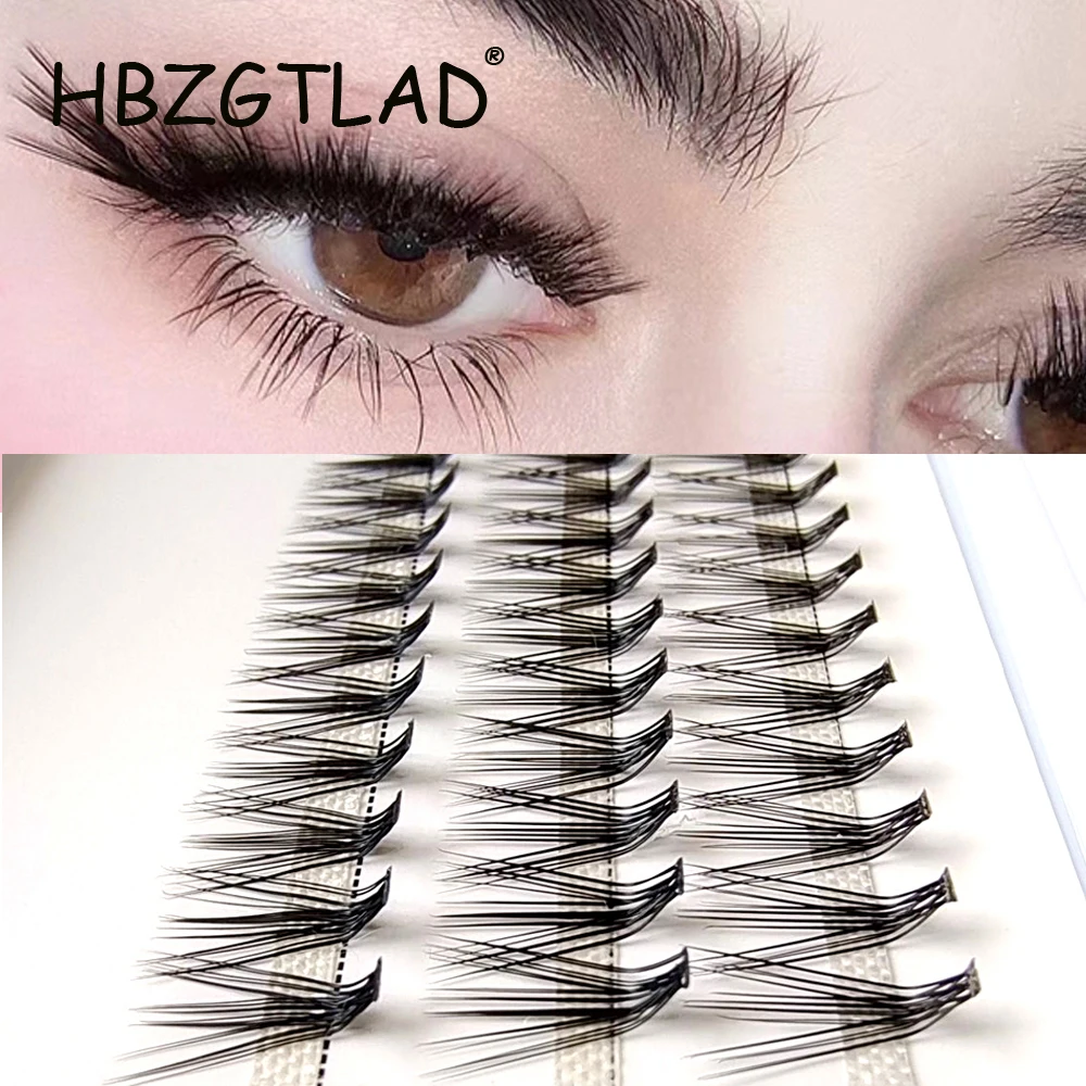 HBZGTLAD New 60 Clusters Lashtray For Makeup 10D 20D L curl Individual Eyelashes Bunches Professional Makeupartist Faux Lashtray