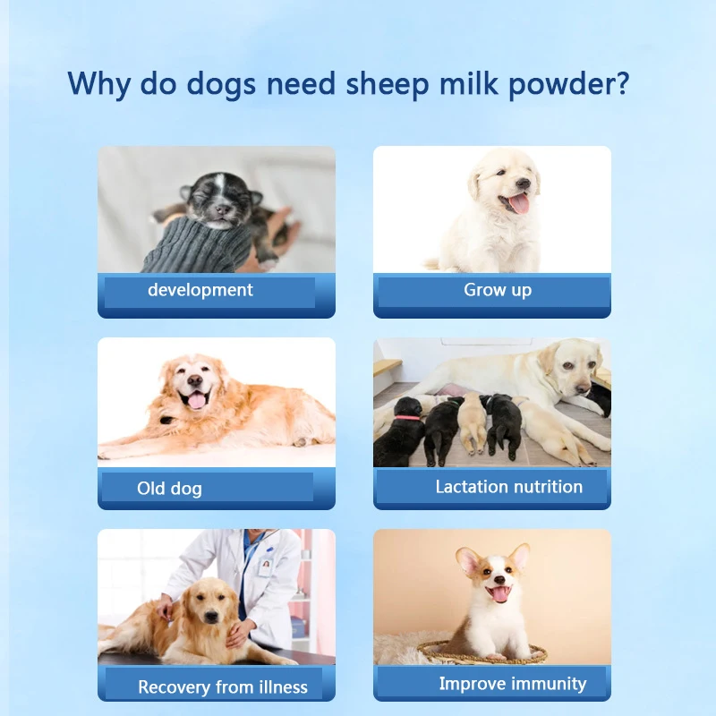 Порошковое молоко для собак и овец лактации 10 г * 30 упаковок