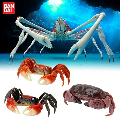 

Bandai Capsule Steamed Bun Crab Spider Long-legged Crab Hairy Square Crab Wedlock Carapace Movable Biological Simulation Model