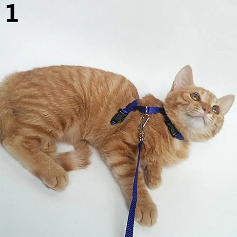 

Adjustable Nylon Cat Puppy Pet Harness Collar Lead Leash Traction Safety Rope