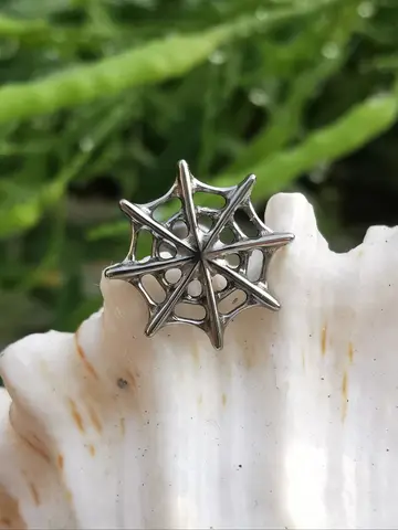 Mushukdagi sik bilan uy qurilishi fotosurati