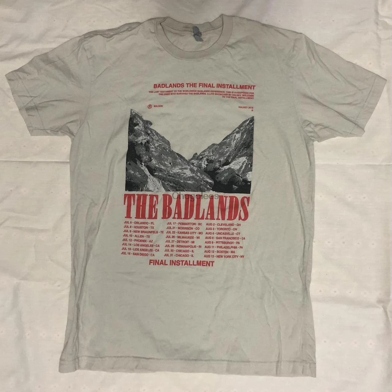 Серая футболка desuканоэ halsey-badlands era 2016 |