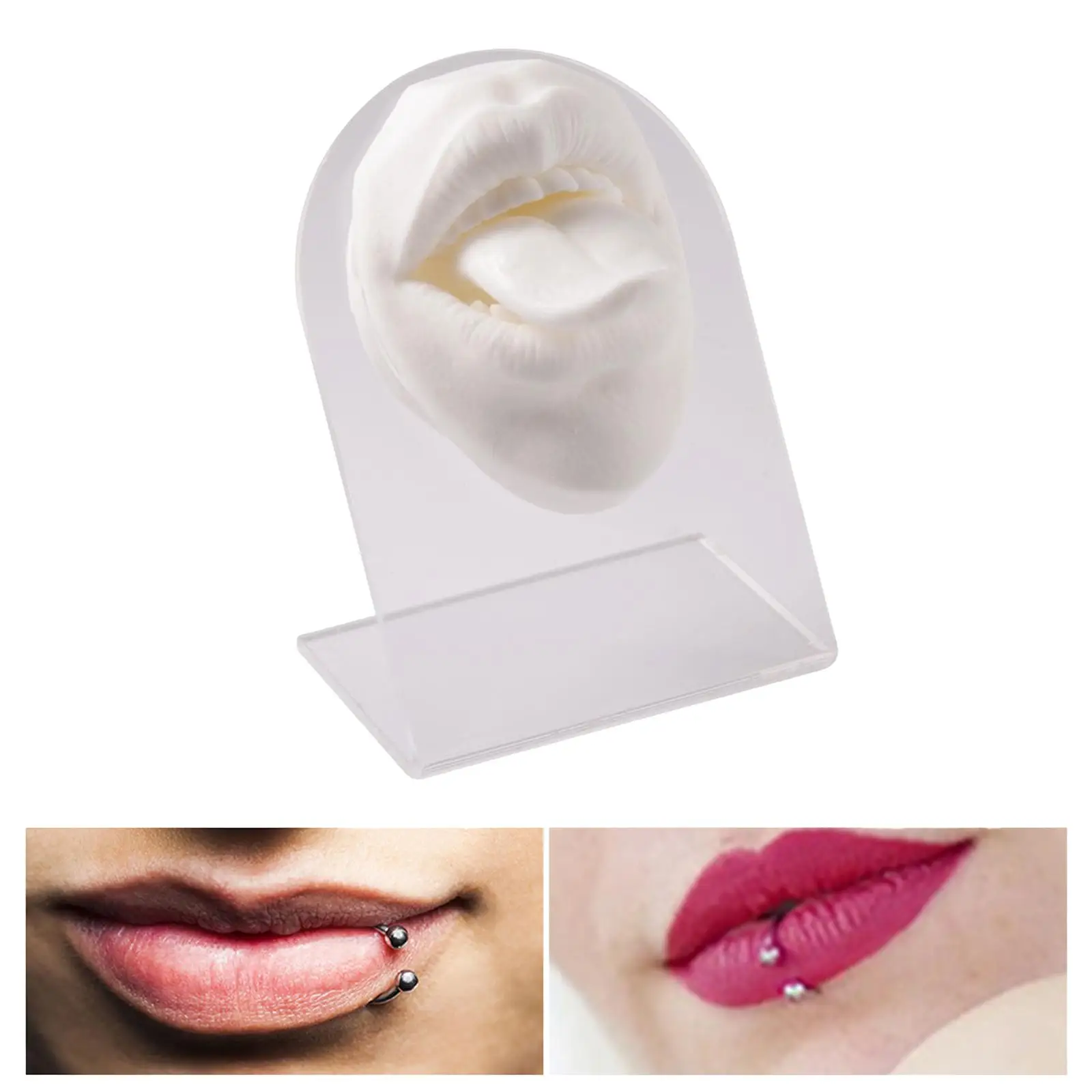 

Silicone Mouth tongues Model Simulation Flexible Teaching Tool Practice Tool