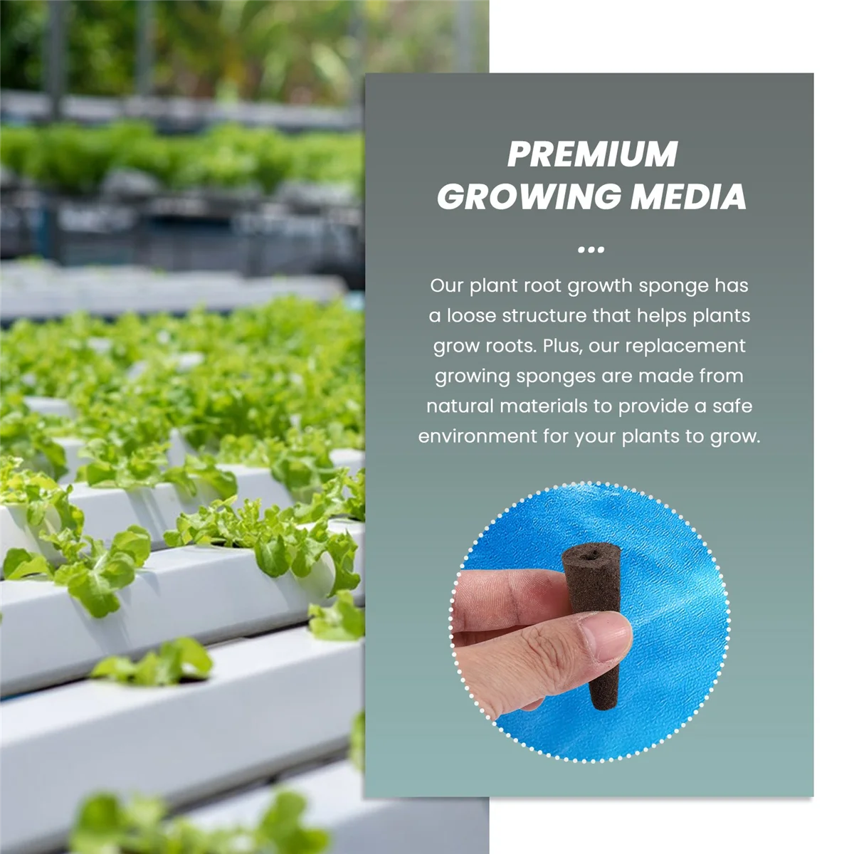 Губки для выращивания растений с AeroGarden экологически чистые пробки роста