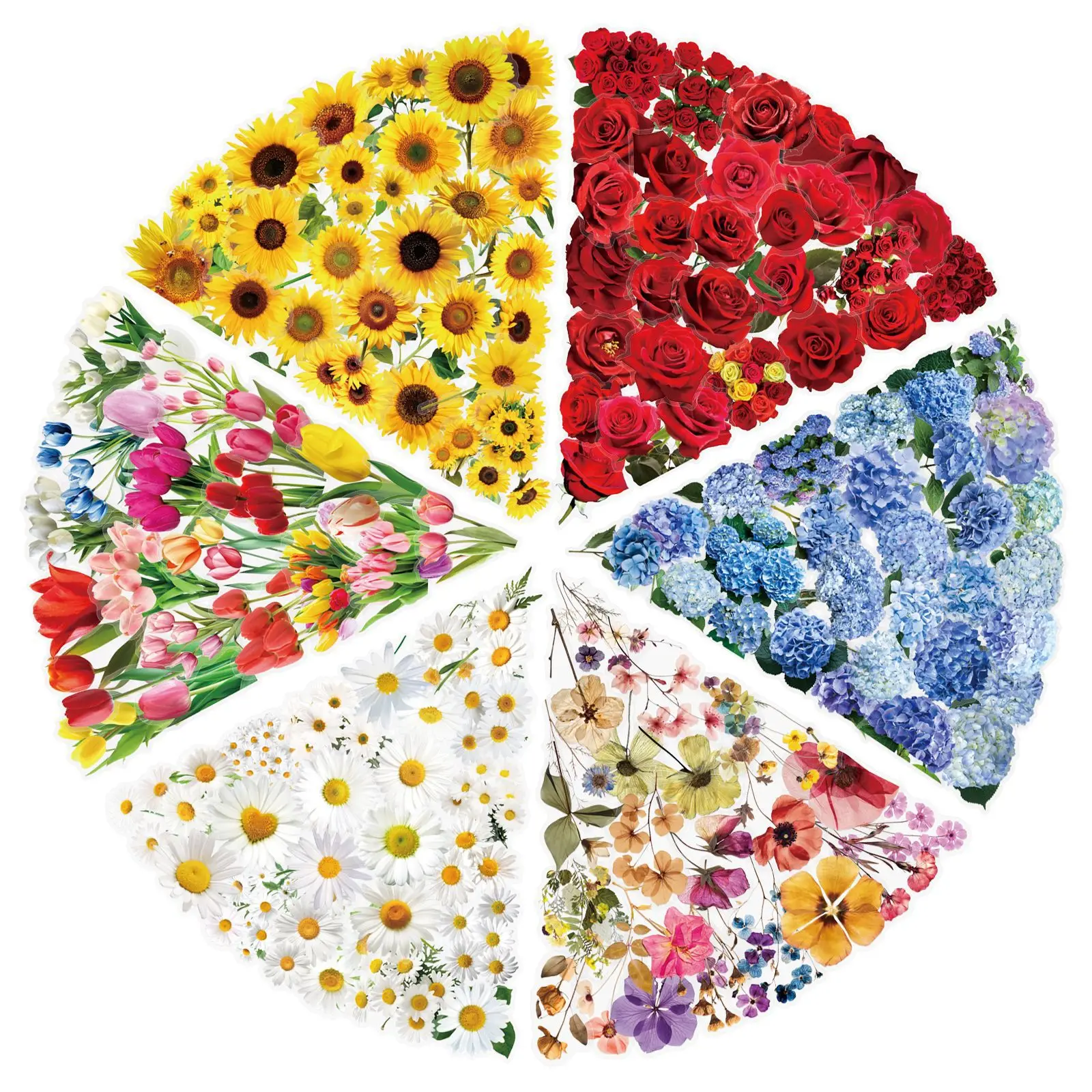 

Прозрачные наклейки с цветами и растениями